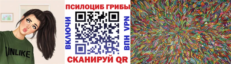 Галлюциногенные грибы Psilocybine cubensis  дарнет шоп  Макушино 